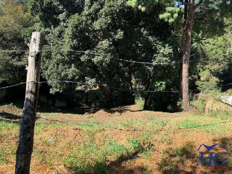 VENDO TERRENO EN ARRAZOLA — foto 1