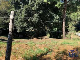 VENDO TERRENO EN ARRAZOLA