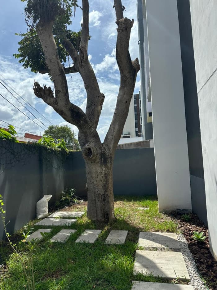 APARTAMENTO EN RENTA - ZONA 15 — foto 2