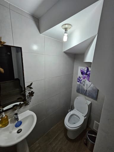 Miniatura 9
