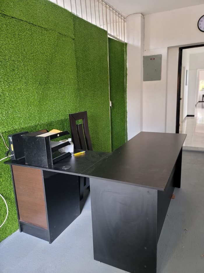 Oficinas en renta, zona 2 — foto 12