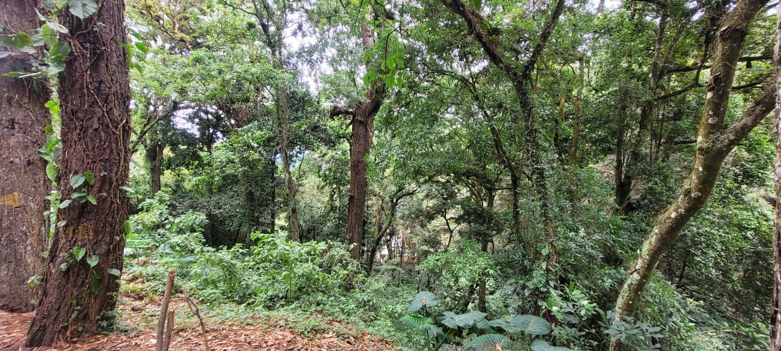 Terreno en condominio residencial CES — foto 3
