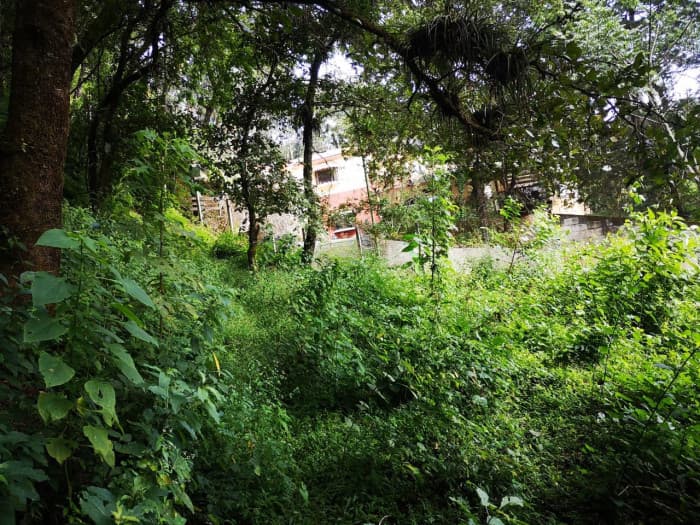 Venta de terreno en El Encinal, tronco 8. — foto 7