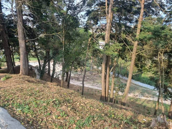 Casa en Condominio En San José Pinula — foto 11