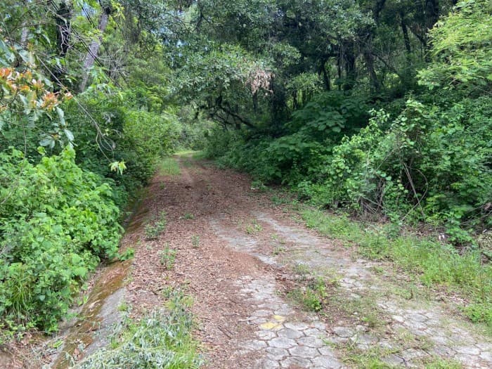 Terreno en venta, Encinal zona 7 Mixco — foto 6