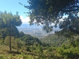 TERRENOS EN VENTA EN KM 19.9 CARRETERA AL SALVADOR