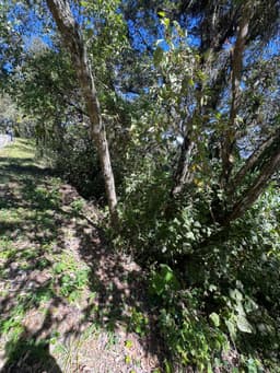 Terreno Residencial en Venta en Zona 1, Mixco, Guatemala