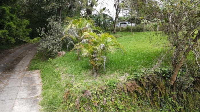 Terreno en VENTA, El Encinal Tronco 2 — foto 1