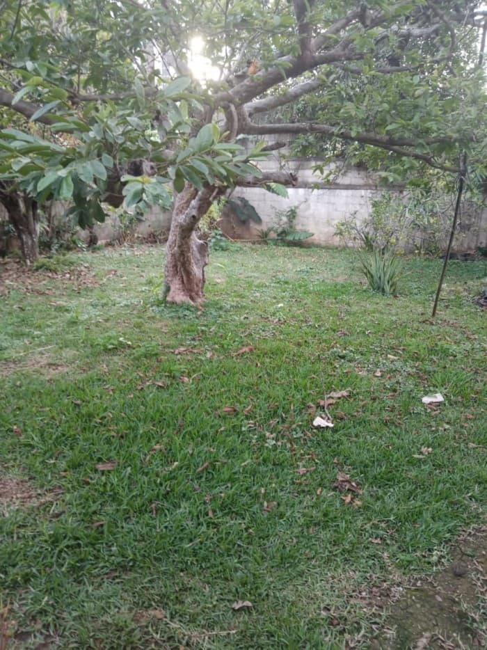 VENDO PROPIEDAD EN VHII, ZONA 15 — foto 1