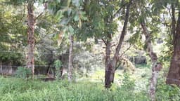 Lote en venta, Sausalito Fraijanes Km. 19.8
