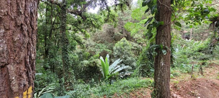 Terreno en condominio residencial CAES — foto 3