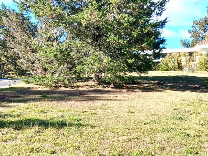 TERRENO EN VENTA EN HACIENDA NUEVA — foto 15