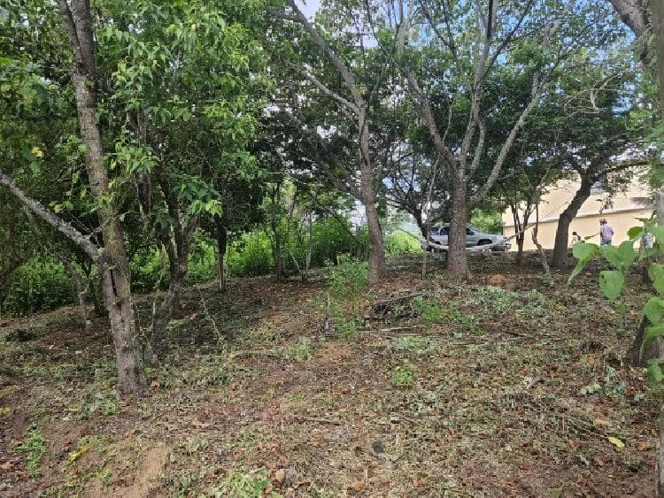 TERRENO EN VENTA MILPAS ALTAS/MUNDO INMOBILIARIO — foto 1