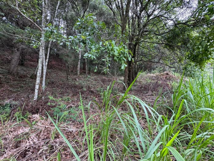 Terreno en Venta en Rancho Verde Fraijanes! — foto 4