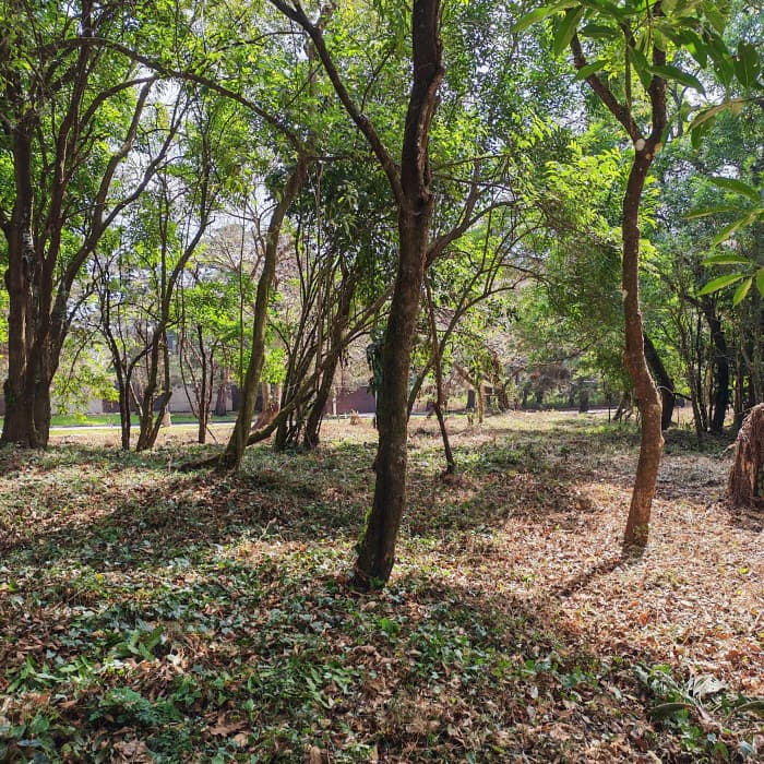 En Venta Terreno en Casa & Campo Guatemala — foto 12