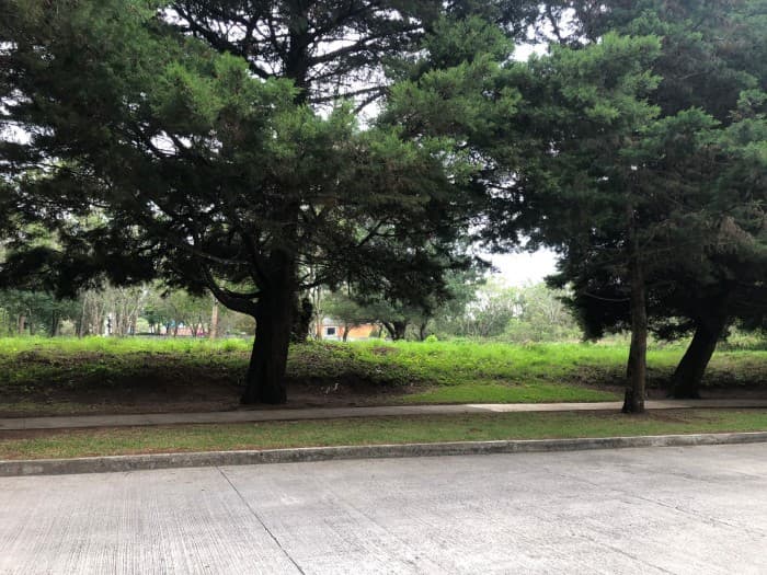 Terrenos en venta en Casa y Campo km 23.5 CES — foto 1