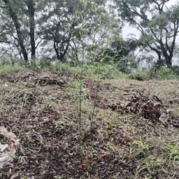 Terreno en Venta Granja Buenos Aires, Fraijanes