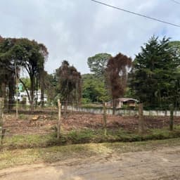 Terreno Residencial en Venta El Encinal Tronco 2 Mixco