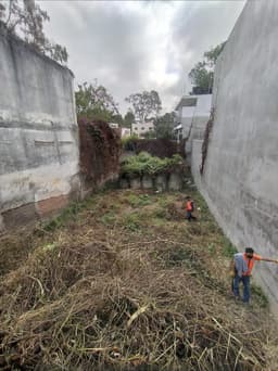 Terreno en Renta Ideal para uso Comercial en zona 2