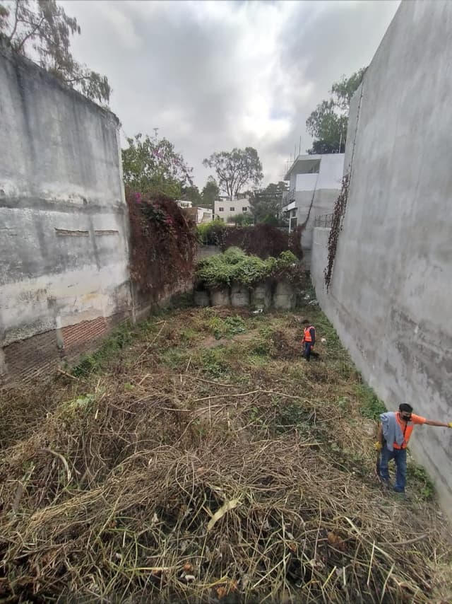 Terreno en Renta Ideal para uso Comercial en zona 2