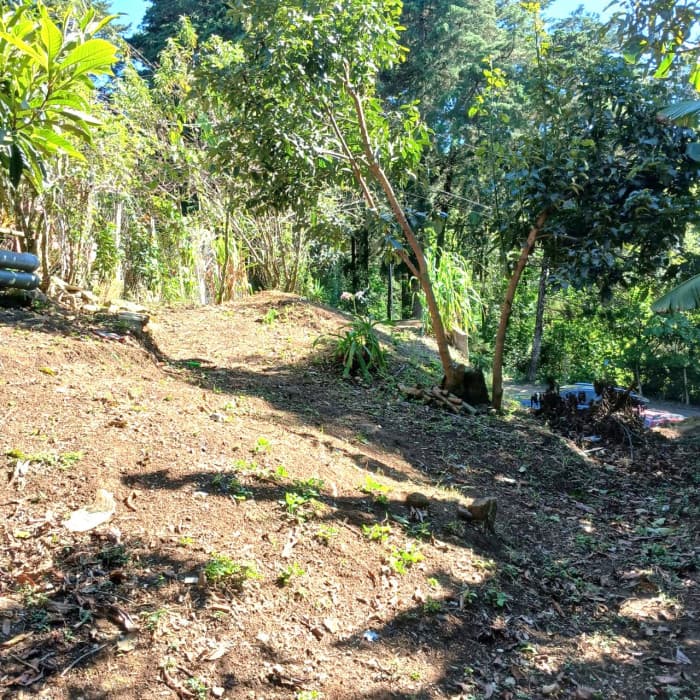 VENTA DE TERRENO EN LO DE DIEGUEZ — foto 4