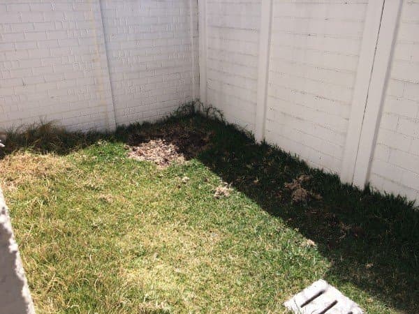 REMATE BANCARIO Condominio Carr.Salvador!! — foto 12