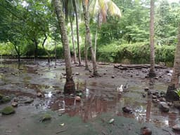 Terreno en venta en Quintas del Campo, Escuintla,