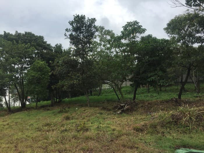 Venta de terreno en Acacias de Cayalá, zona 16. — foto 2