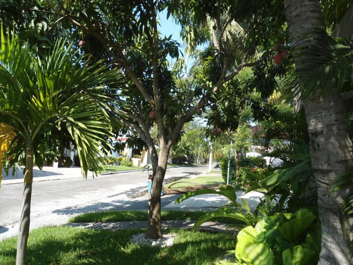 Linda Casa amueblada en Venta en San Marino!!! — foto 3