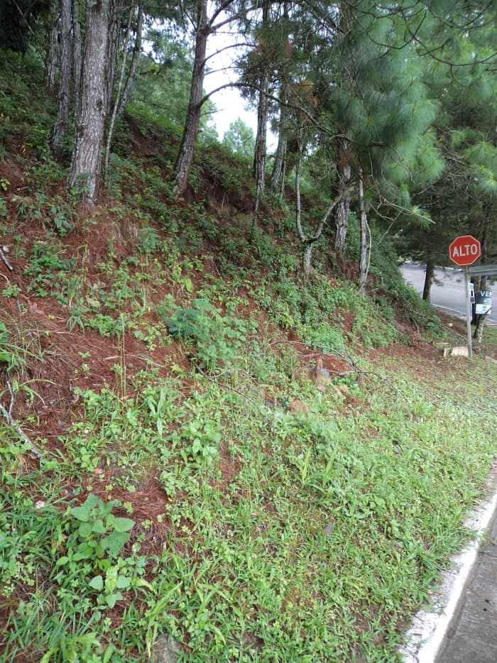 VentaTerreno en Las Cumbres Zona 16 Guatemala — foto 4