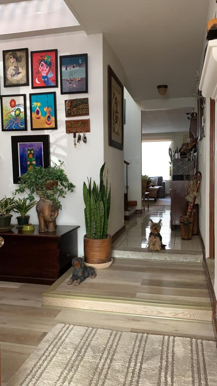 Venta de casa en Paraje Solar, Km. 15.8 CAES. — foto 3