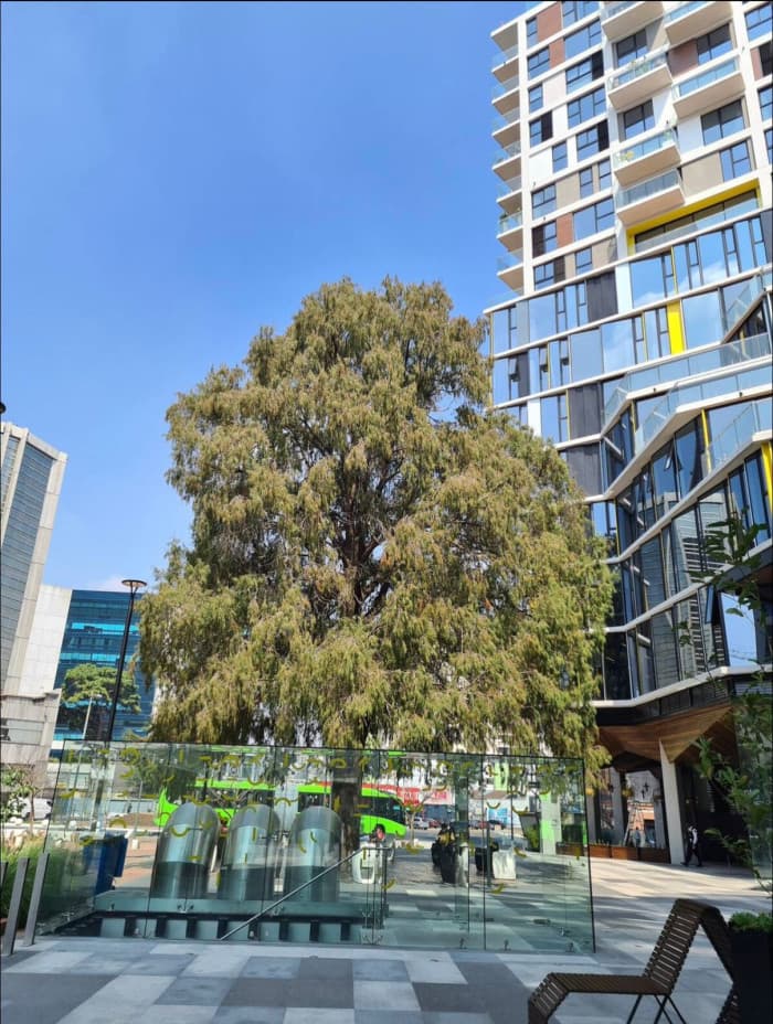 Apartamento en venta en Quo zona 4 — foto 2