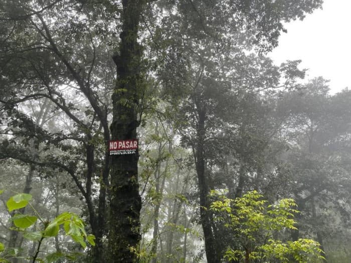 Venta de terreno en San Lucas Sac! — foto 2