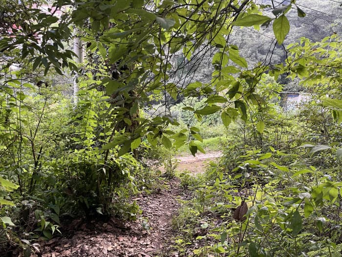 Terreno en venta en Aldea Chichorin San Lucas — foto 15