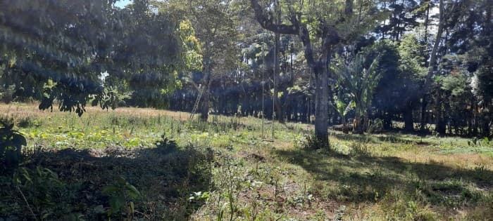 KM 24 CARRETERA AL SALVADOR — foto 13