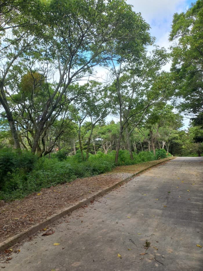 Terreno Residencial en Venta en Km 23.5 CES — foto 3