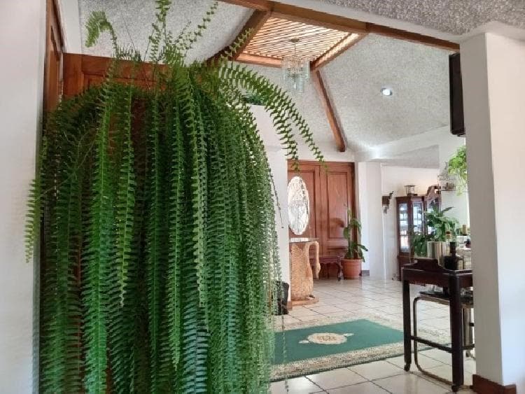 Casa en venta en Santa Elena Barillas — foto 11