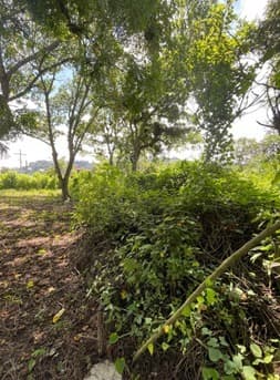 TERRENO EN VENTA EN HACIENDA REAL SECTOR 5, ZONA 16