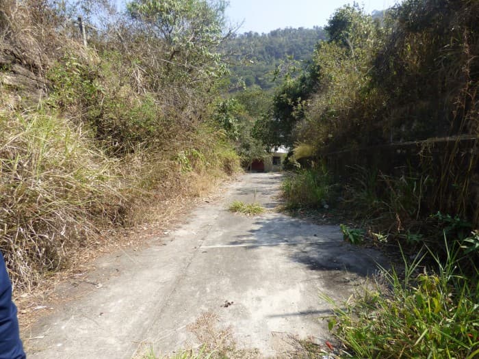 EL CHATO — foto 14
