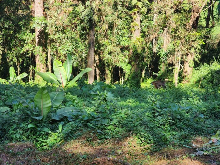 Terreno en Venta- Santa Catarina Pinula — foto 4