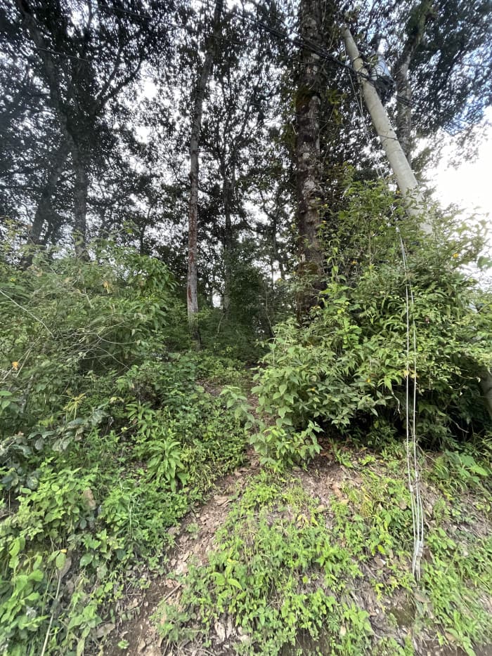 Terreno en venta en Aldea Chichorin San Lucas — foto 13