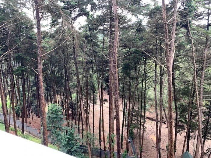 VENTA Apartamento con amplio balcón km 14 Carr Salvador — foto 12