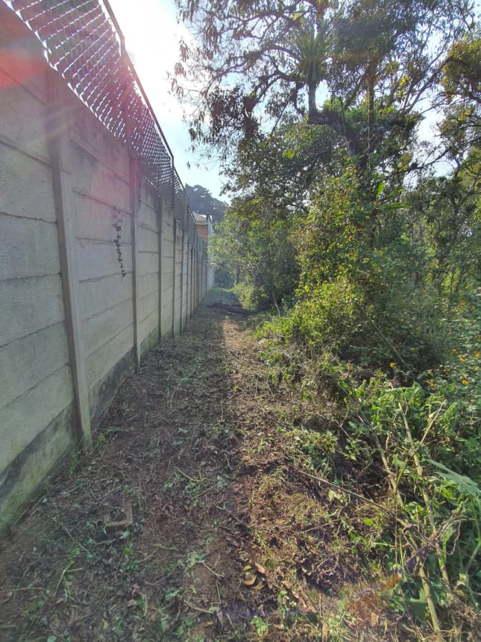 Espectacular Terreno en Santa Rosalía km 12.5 — foto 5