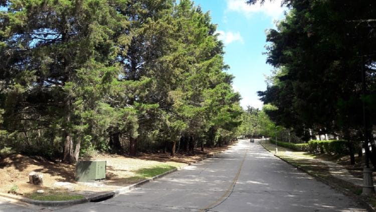 Venta de terreno en exclusivo residencial de CAES — foto 3