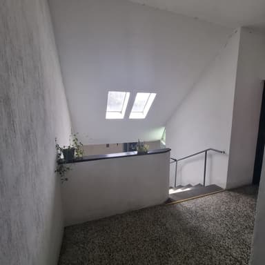 Miniatura 10