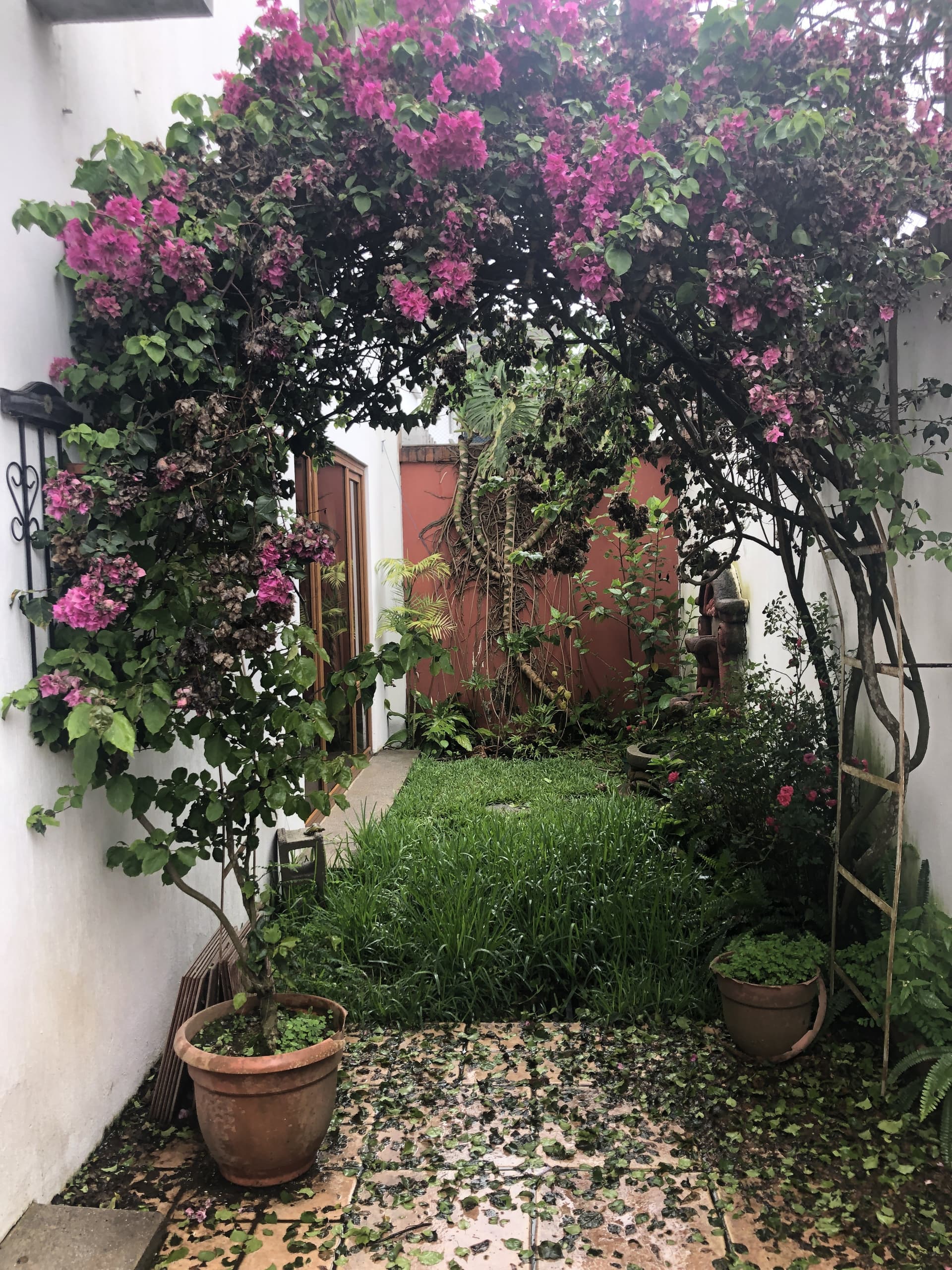 Se renta casa en zona 16 — foto 14