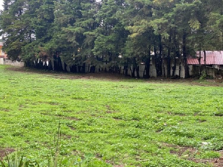 Venta de terreno cerca de VAS en CES — foto 8
