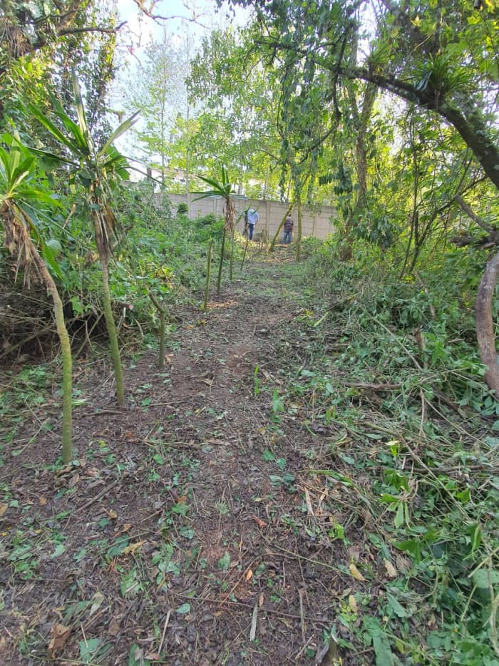Espectacular Terreno en Santa Rosalía km 12.5 — foto 1