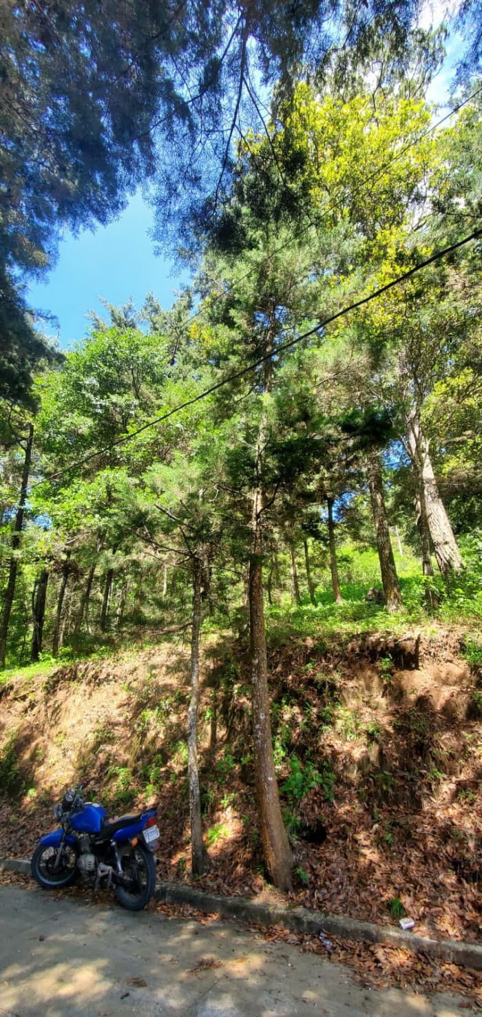 Rancho Verde Fraijanes Lote en venta — foto 3