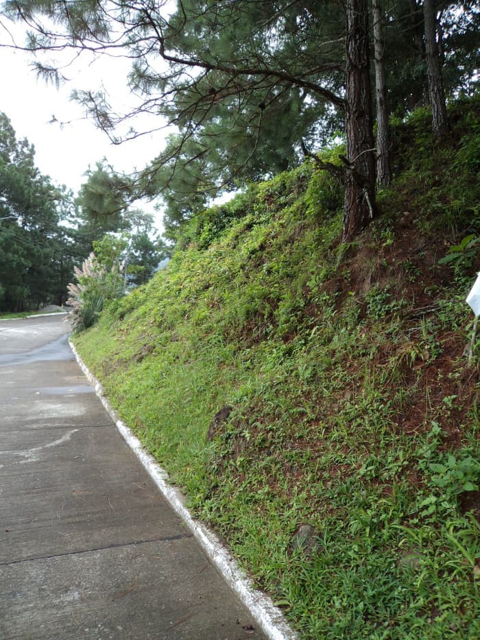 VentaTerreno en Las Cumbres Zona 16 Guatemala — foto 5